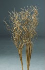 dried flowers d-f066b